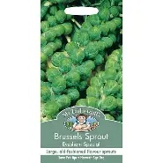 UK/FO-BRUSSELS SPROUT Evesham Special