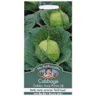 UK/FO-CABBAGE Golden Acre (Primo II)