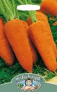 UK/FO-CARROT Chantenay Red Cored 2