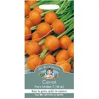 UK/FO-LG MINI BASKETBALL CARROTS