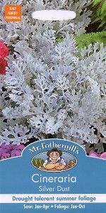 UK/FO-CINERARIA Silver Dust