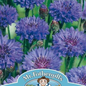 UK/FO-CORNFLOWER Blue Ball