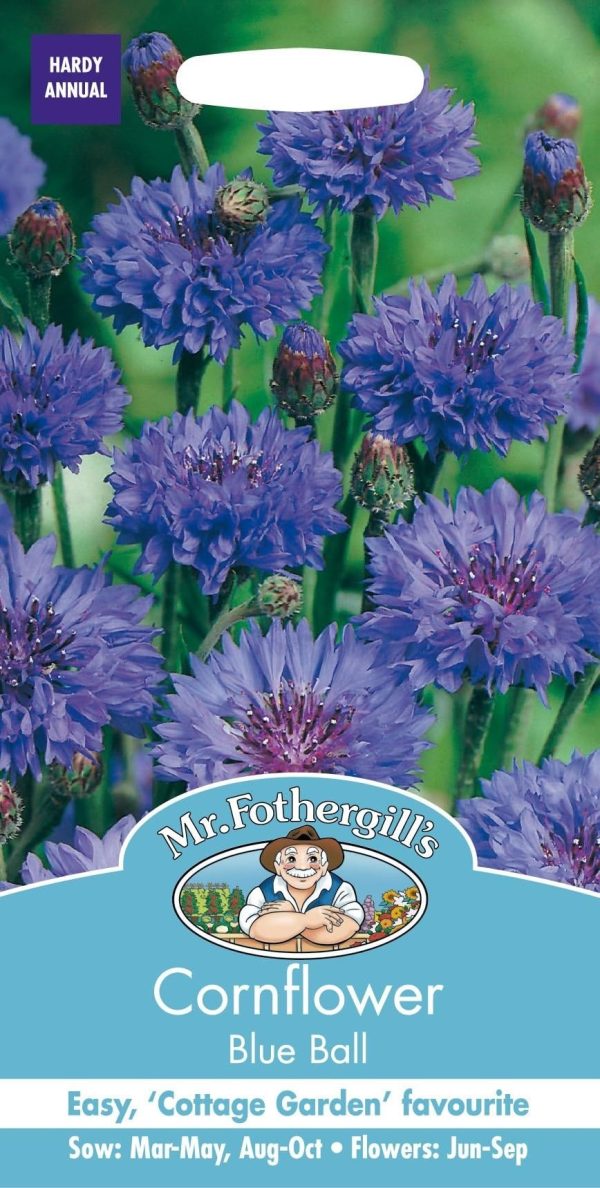 UK/FO-CORNFLOWER Blue Ball