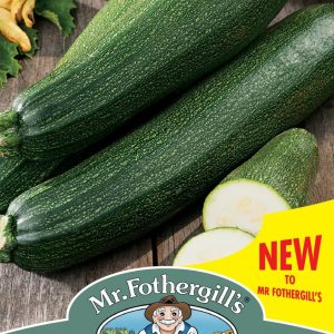 UK/FO-COURGETTE Blackstar F1