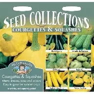 UK/FO-COURGETTES & SUMMER SQUASHES COLLECTION