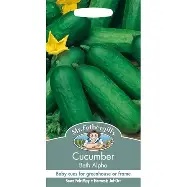 UK/FO-CUCUMBER Beth Alpha