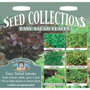 UK/FO-EASY SALAD LEAVES