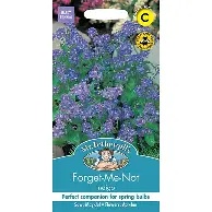 UK/FO-FORGET ME NOT Indigo