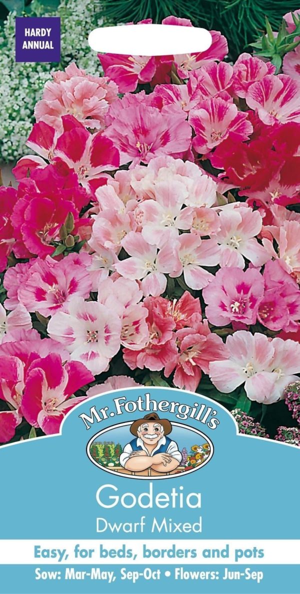 UK/FO-GODETIA Dwarf Mix