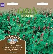 UK/FO-GREEN MANURE Crimson Clover