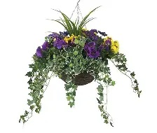 Hanging Basket (Wicker)