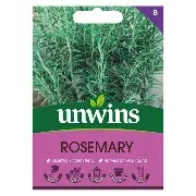 Herb Rosemary