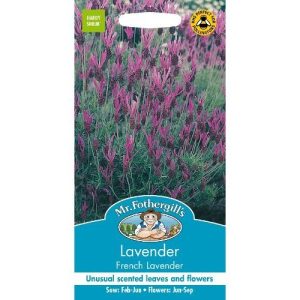 UK/FO-LAVENDER French Lavender
