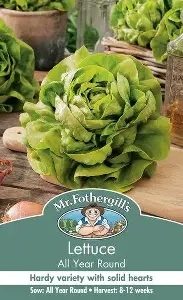UK/FO-LETTUCE All The Year Round