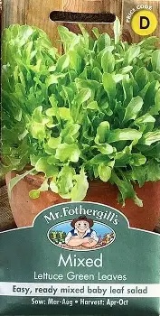 UK/FO-LETTUCE LEAVES Green Mix