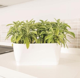 Living Flowerbox 30cm with saucer White