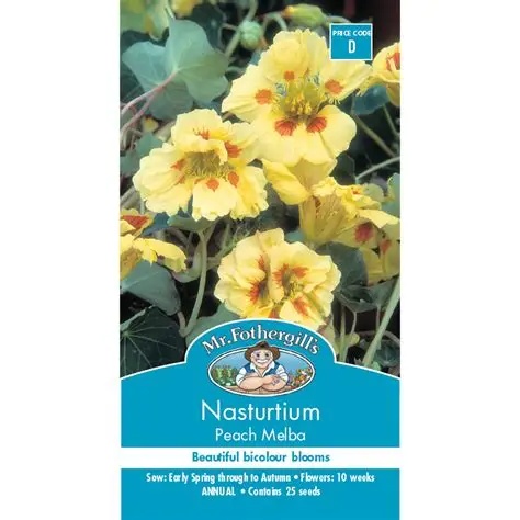 UK/FO-NASTURTIUM Peach Melba