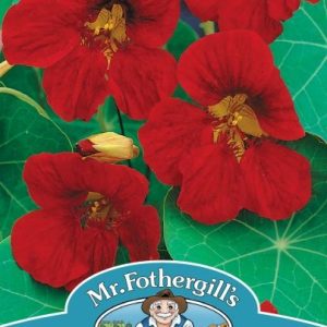 UK/FO-NASTURTIUM Tip Top Velvet
