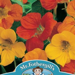 UK/FO-NASTURTIUM Tom Thumb