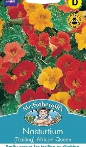 UK/FO-NH-NASTURTIUM (Trailing) African Queen