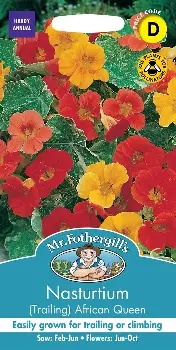 UK/FO-NH-NASTURTIUM (Trailing) African Queen