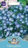 UK/FO-NEMOPHILA Baby Blue Eyes