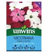 Nicotiana Sensation Mix