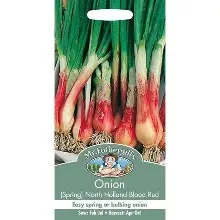 UK/FO-ONION (Spring) North Holland Blood Red