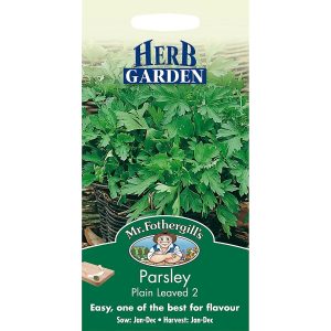 UK/FO-PARSLEY Plain Leaved 2
