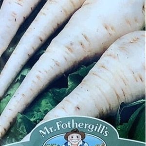 UK/FO-PARSNIP White Gem