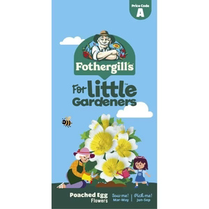 UK/FO-LG POACHED EGG FLOWERS