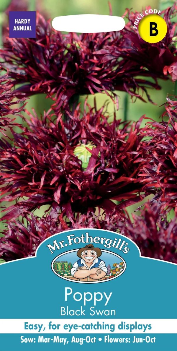 UK/FO-POPPY Black Swan