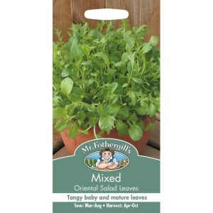 UK/FO-SALAD LEAVES Oriental Mix