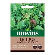 Salad Leaf Oriental Mix