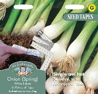 UK/FO-TAPE ONION (Spring) White Lisbon