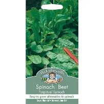 UK/FO-SPINACH BEET Perpetual Spinach