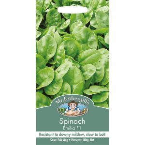 UK/FO-SPINACH Emilia F1