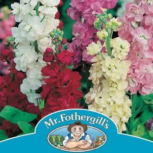 UK/FO-STOCK Ten Week Mix