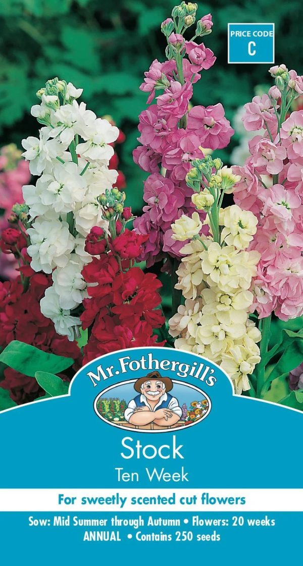 UK/FO-STOCK Ten Week Mix