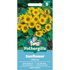 UK/FO-SUNFLOWER Little Leo