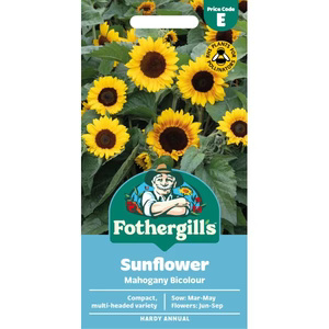 UK/FO-SUNFLOWER Mahogany Bicolour