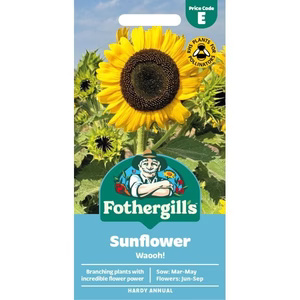 UK/FO-SUNFLOWER Waooh!