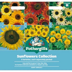 UK/FO-SUNFLOWERS COLLECTION