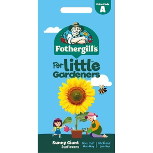 UK/FO-LG SUNNY GIANT SUNFLOWERS