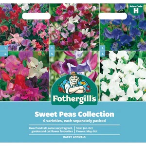 UK/FO-SWEET PEAS COLLECTION