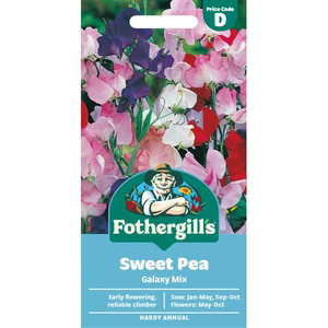 UK/FO-SWEET PEA Galaxy
