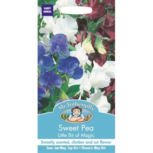 UK/FO-SWEET PEA Little Bit O Magic