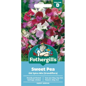UK/FO-SWEET PEA Old Spice Mix (Grandiflora)