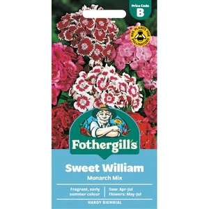 UK/FO-SWEET WILLIAM Monarch Mix