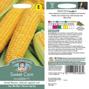 UK/FO-SWEET CORN Incredible F1